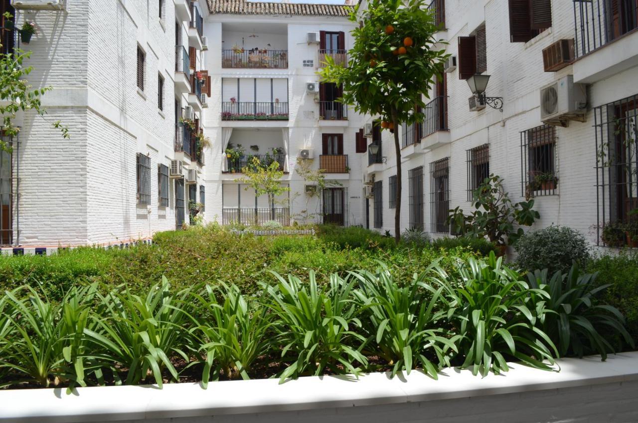 La Casa De Jose Manuel Apartment Sevilla Bagian luar foto